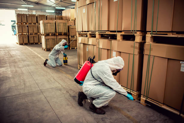 Flea Control Services in East Cleveland, TN