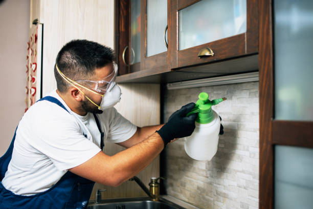 Best Insect Control  in East Cleveland, TN
