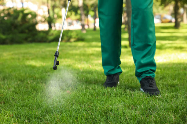 Best Flea Control Services  in East Cleveland, TN
