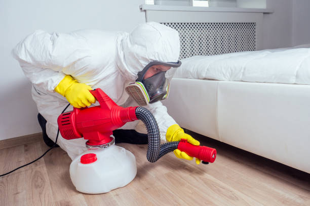 Best Emergency Pest Control  in East Cleveland, TN