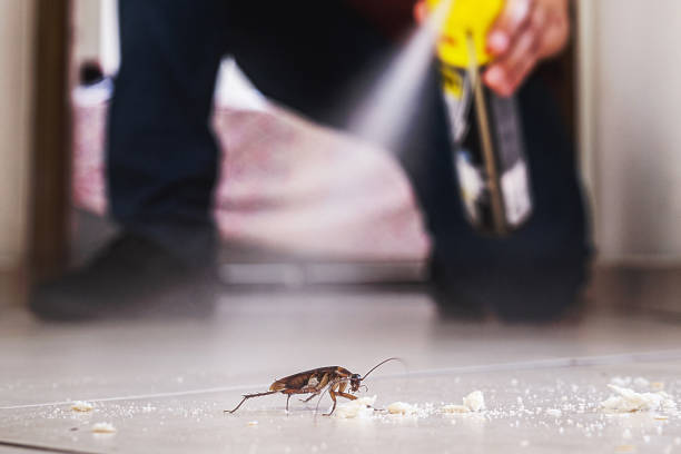 Best Pest Control Near Me in East Cleveland, TN